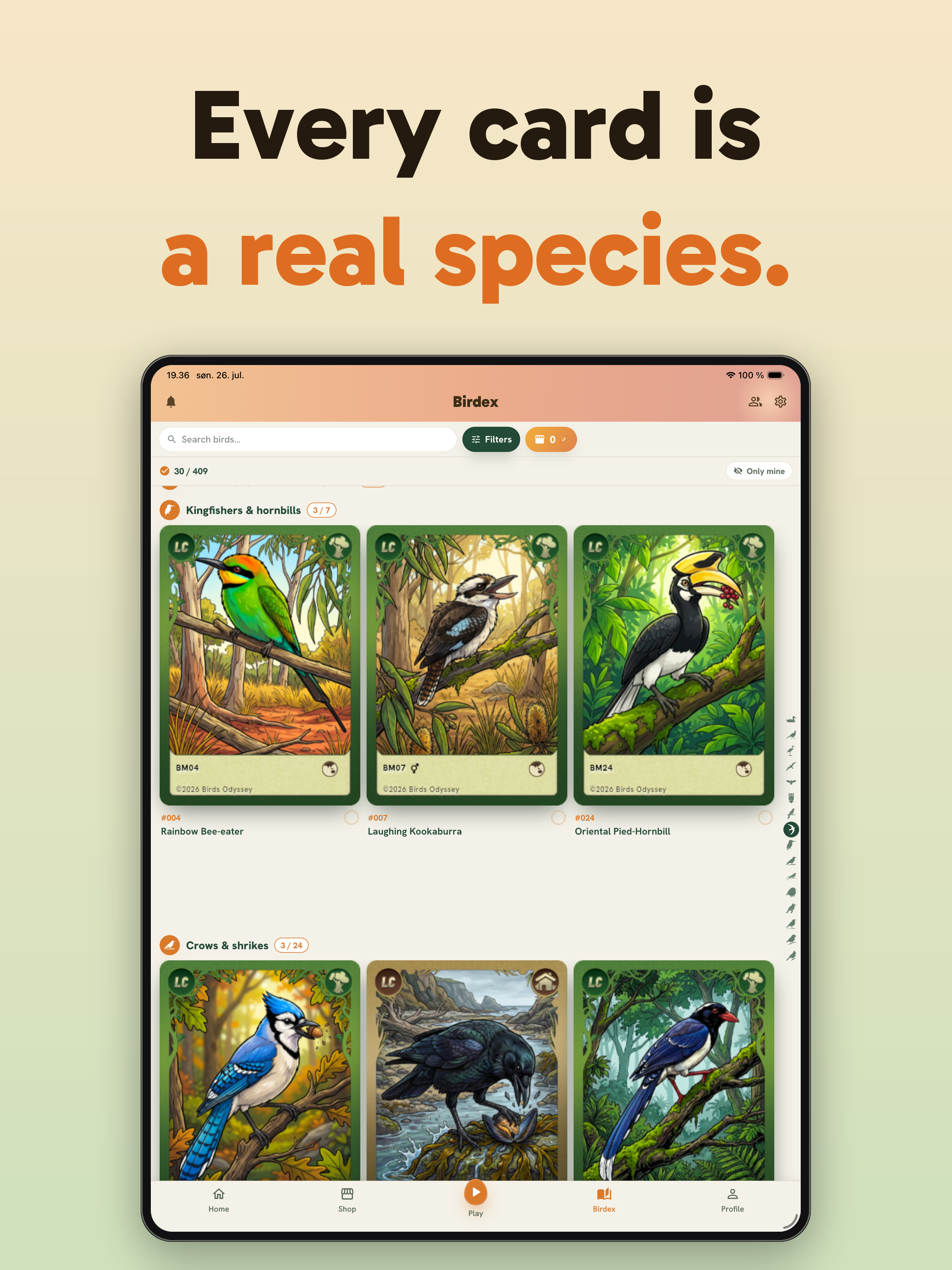 Birdey screenshot 7