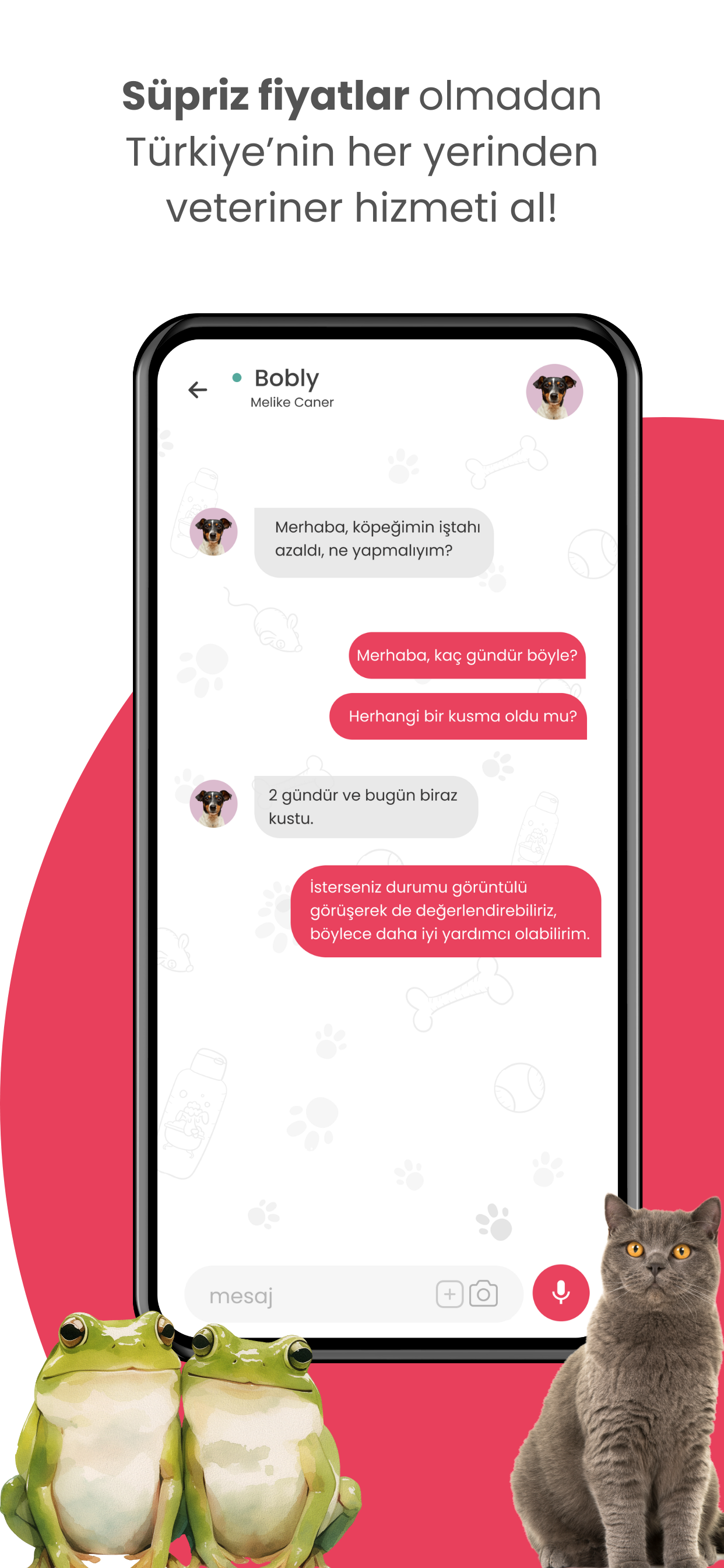 Smartneckie