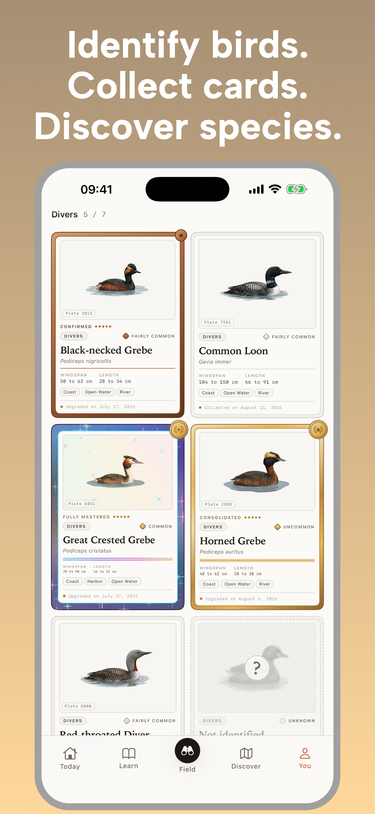 Nestling - Learn Birdwatching screenshot 6