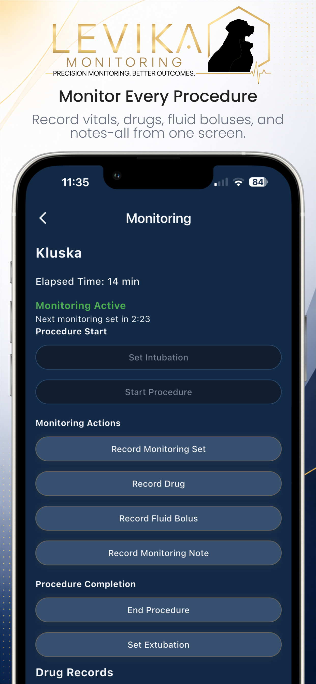 Levika Monitoring screenshot 2