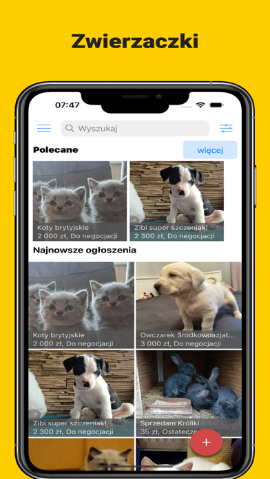 Zwierzaki Screenshot