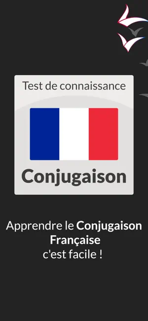 French Verb Conjugation Test screenshot 4