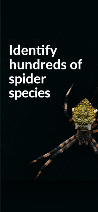 Spider Identifier Spider ID Screenshot 1 of 5