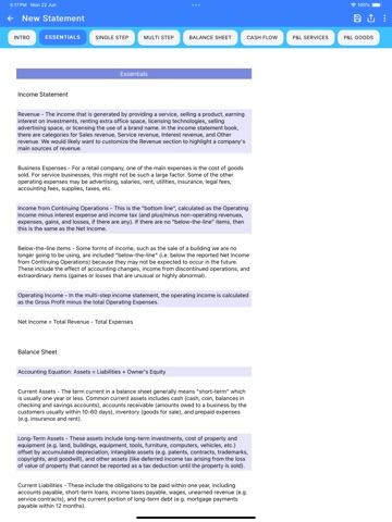 Financial Statements iPad screenshot