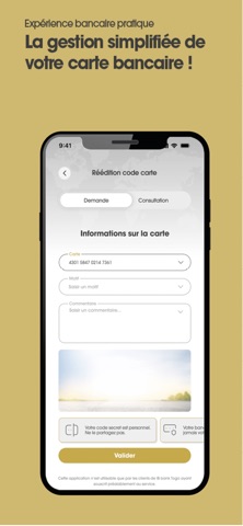 IBFLEX screenshot
