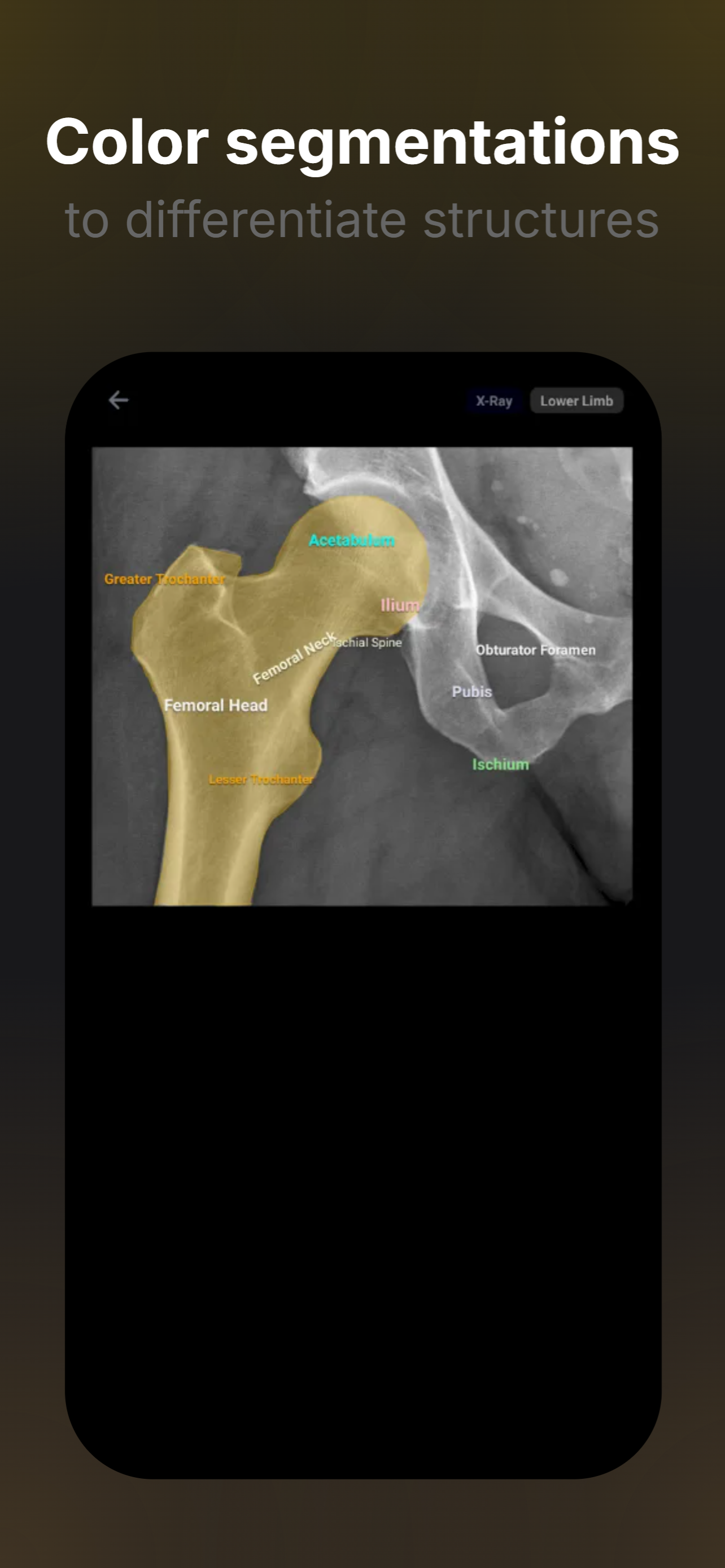 Radioanato screenshot 3