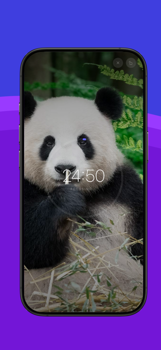 FocusLock - Smart App Lock Screenshot 5 of 7
