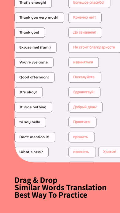 Learn Russian Beginners Screenshot