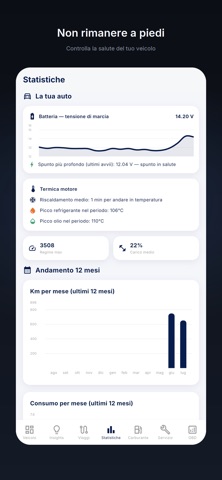 DrivePulse: Diario di Bordo iPhone screenshot 10