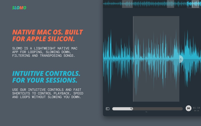 Screenshot #2 pour Slomo