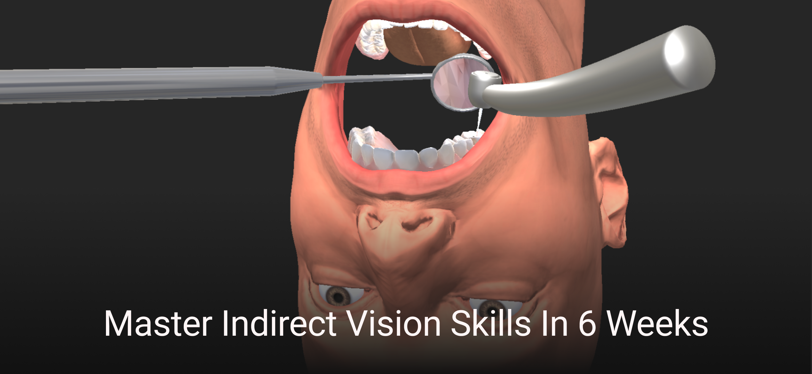 Dental MirrorMaster 3.1