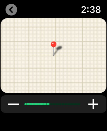 Apple Watch screenshot