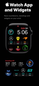 Formula Widgets F1: Lights Out screenshot