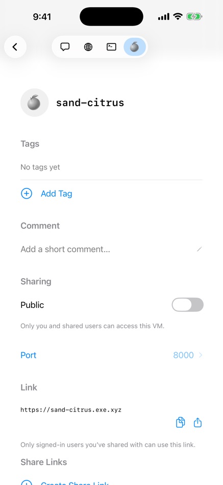 #5. exe.dev (iOS) 来自: ssh exe.dev