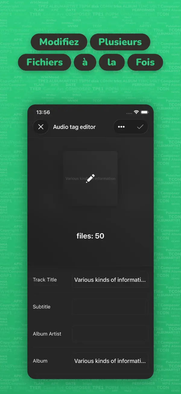 Screenshot #3 pour Evertag: métadonnées musicales