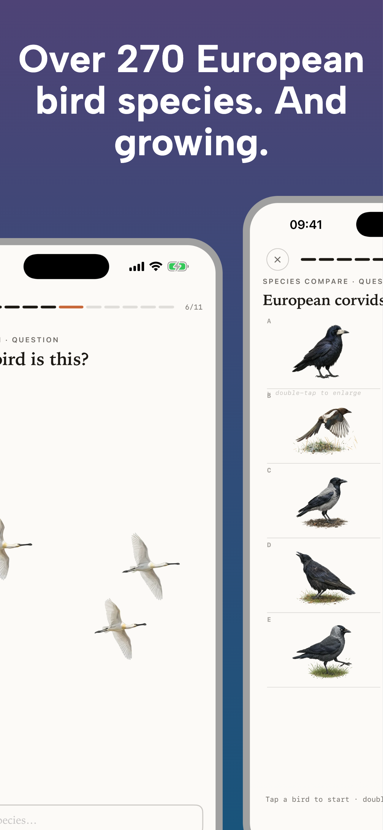 Nestling - Learn Birdwatching screenshot 9