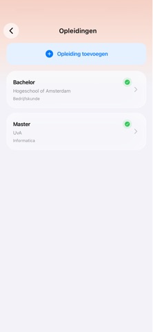 ZZP CV screenshot