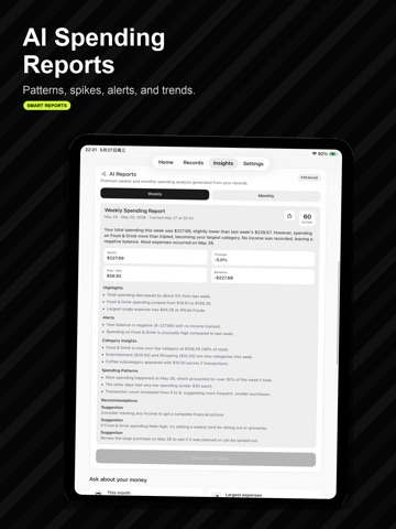 SaySpend: AI Expense Tracker iPad screenshot