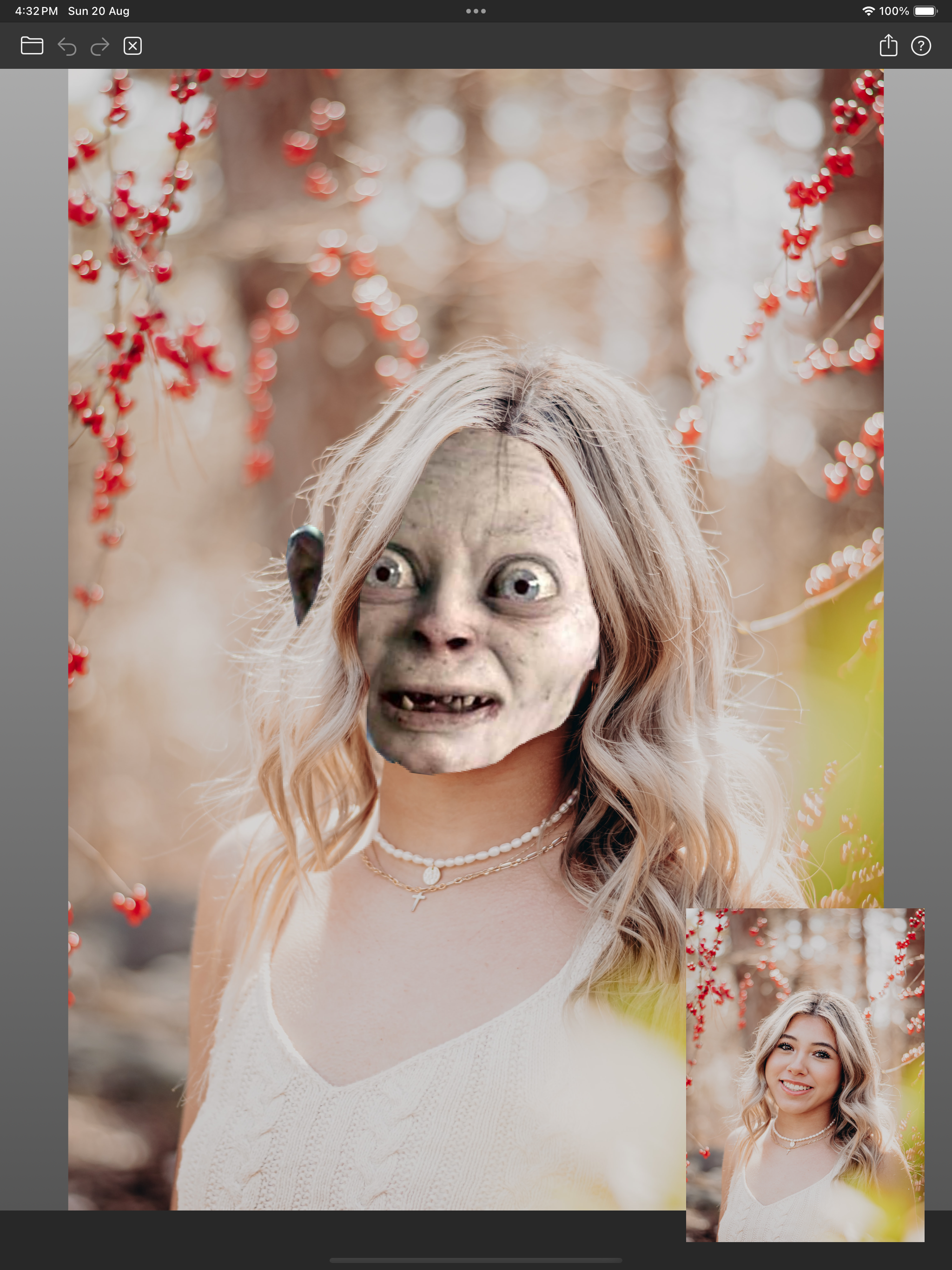 Facecopy: Intercambiar Caras