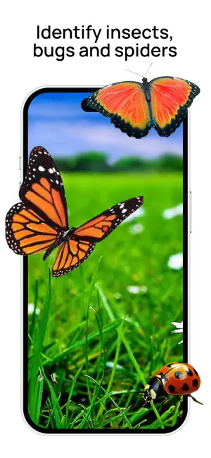 Insect Identifier: Bug Scanner screenshot 1