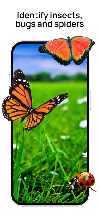 Insect Identifier: Bug Scanner Screenshot 1 of 3