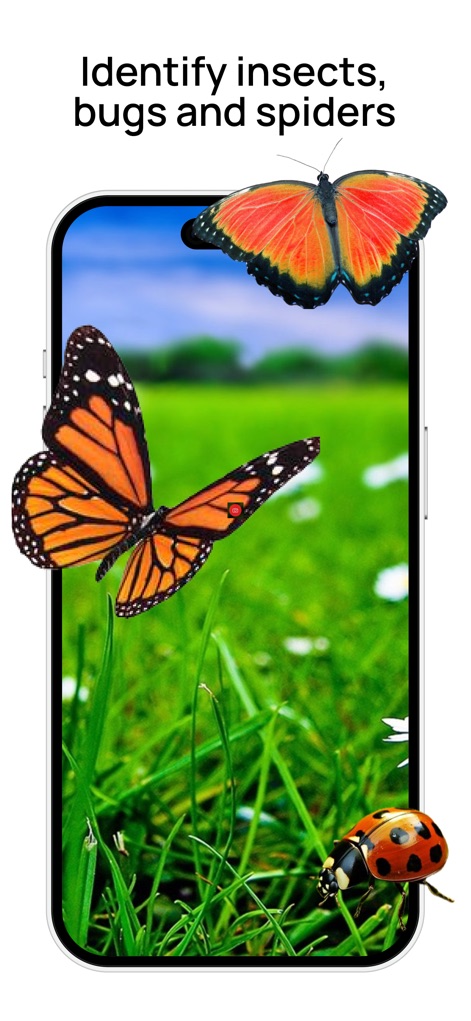 Insect Identifier: Bug Scanner - Reference App | MWM