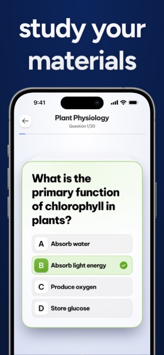 Transcript: AI Homework Helper Screenshot 4 of 5