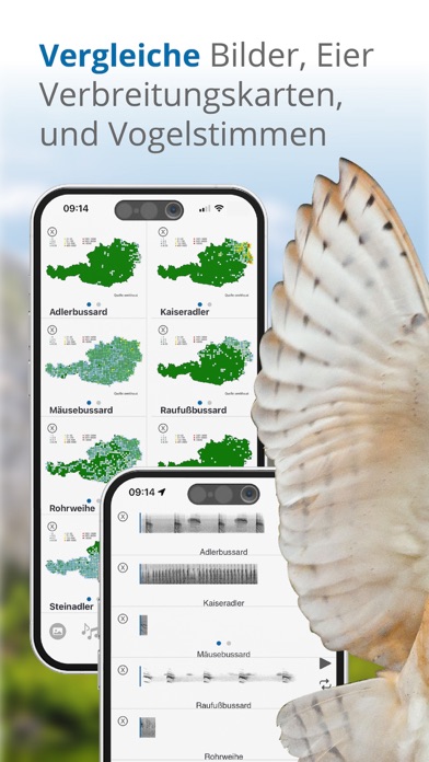 Vögel in Österreich Screenshot