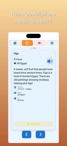100 Egypt for Schools Screenshot 5 of 6
