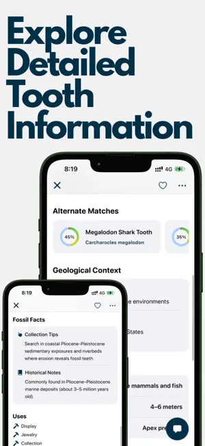 Shark Tooth Identifier: Scan screenshot 2