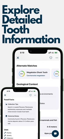 Shark Tooth Identifier: Scan screenshot