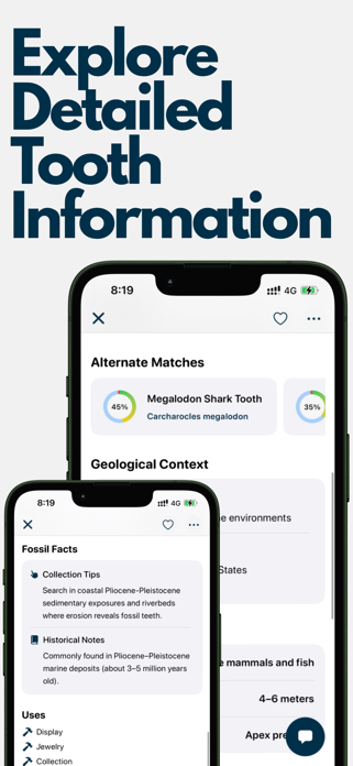 Shark Tooth Identifier: Scan Screenshot 2 of 4