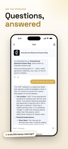 Jewelry Identifier: Value Screenshot 5 of 5
