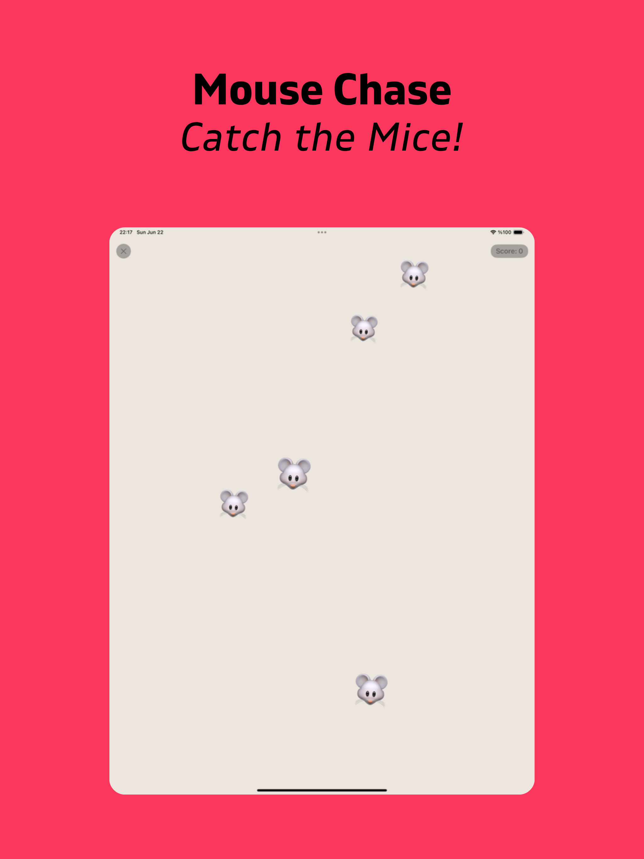 Games for Cats & Kitty: Cattz screenshot 12