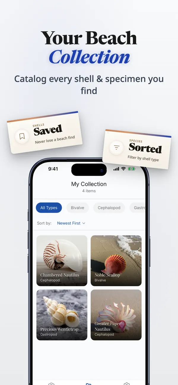 #3. ShellSnap:Sea Shell Identifier (iOS) Ved: JACOB COX