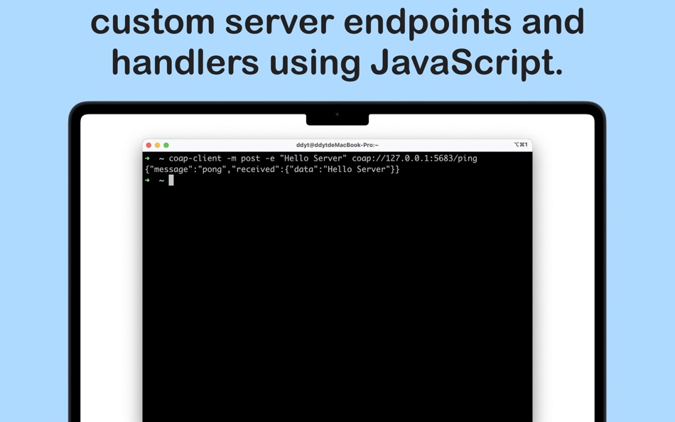 #2. Fast CoAP Server (macOS) Av: 论 李