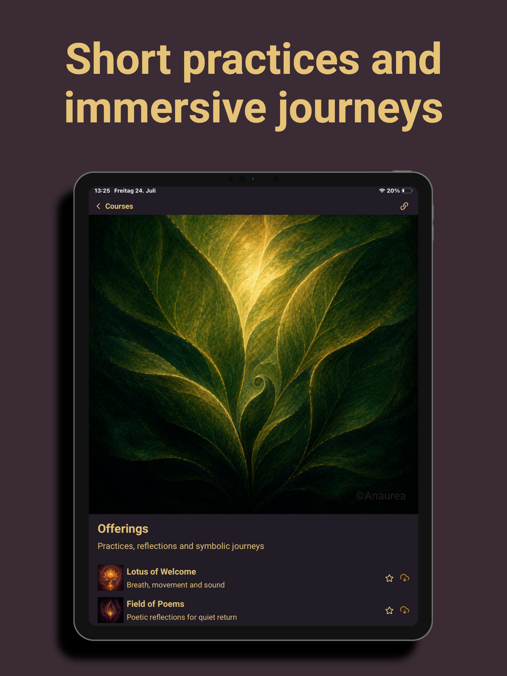 Anaurea screenshot 12