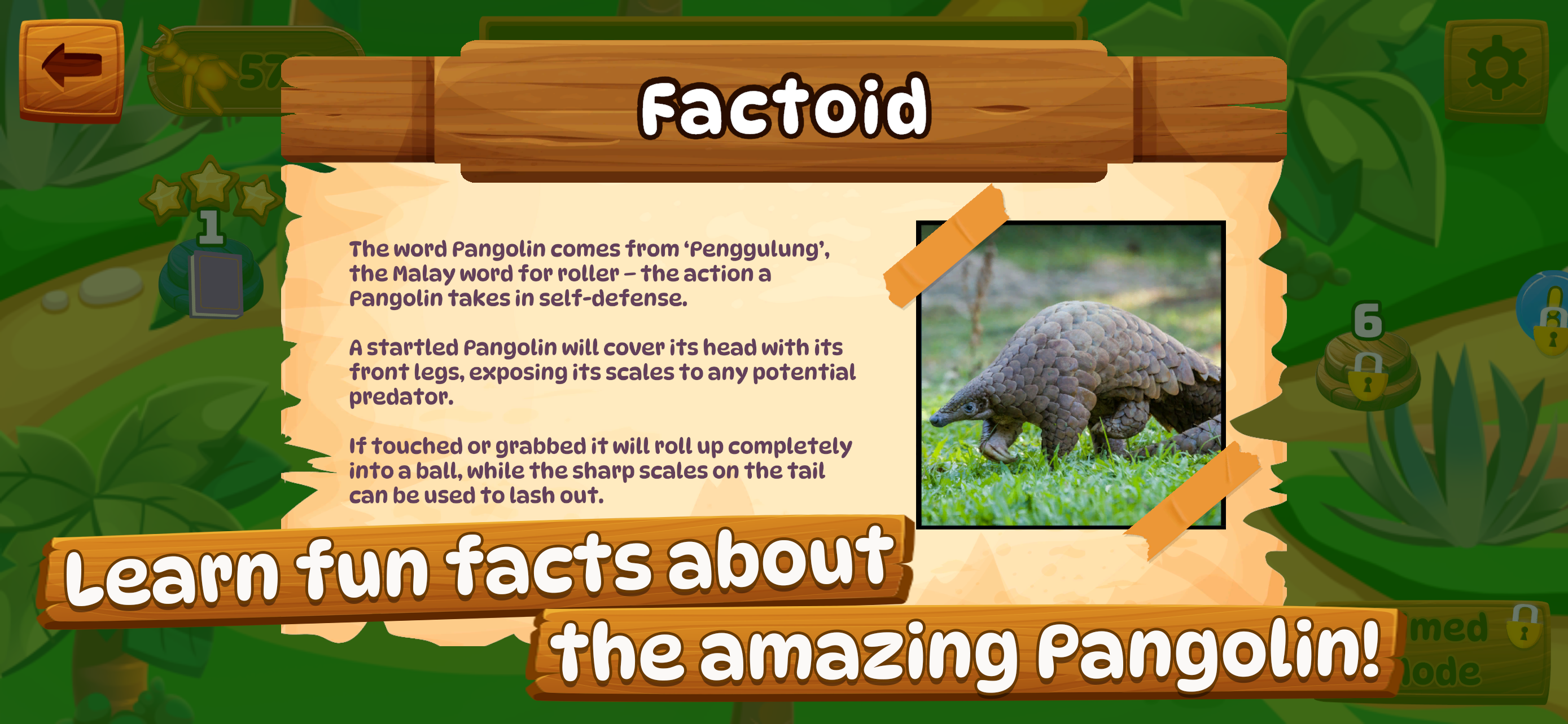 Pangolin Rescue