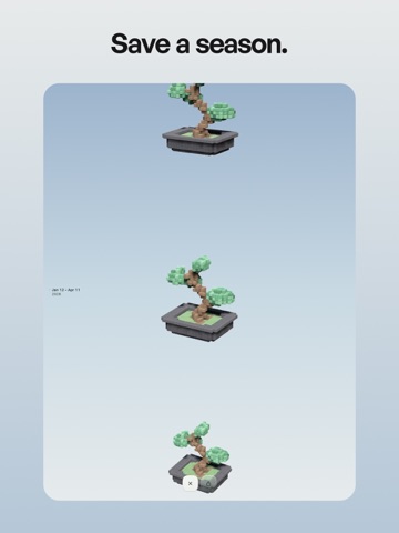Bonsai³ iPad screenshot 3