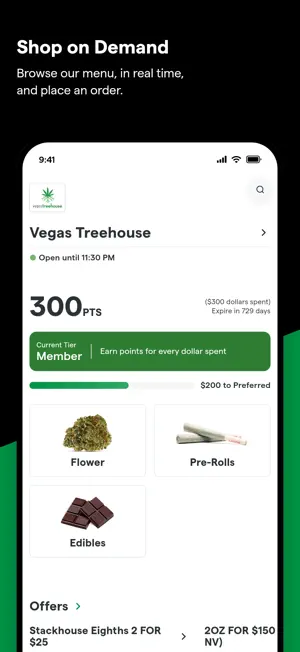 Vegas Tree House screenshot 1