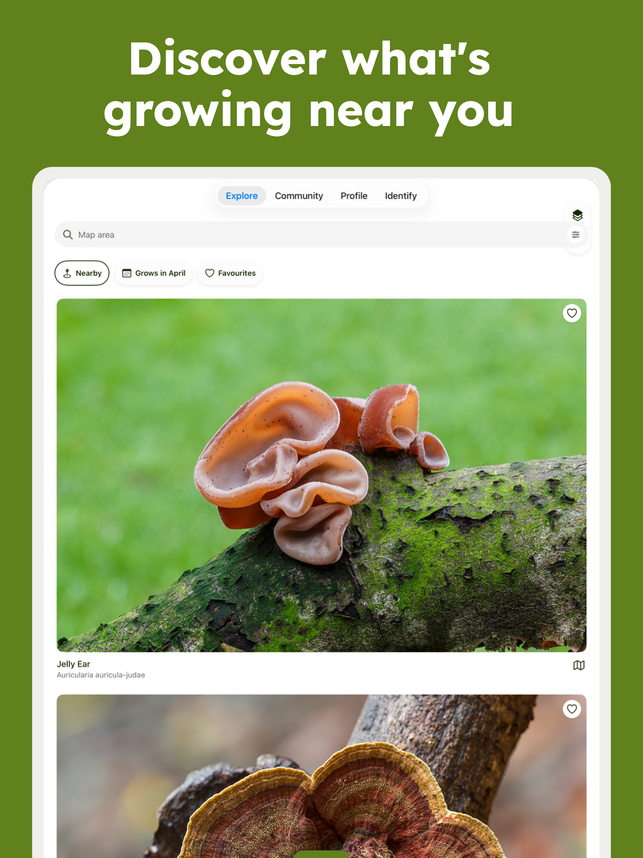 Sporecast: Mushroom Map screenshot 6