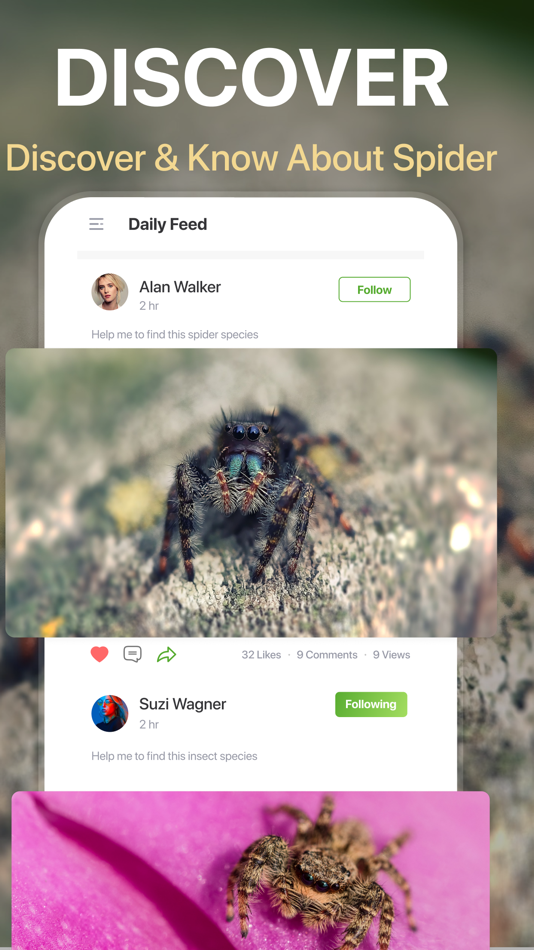#6. Spiders Identifier by Photo ID (iOS) 来自: Zain ul Abdin