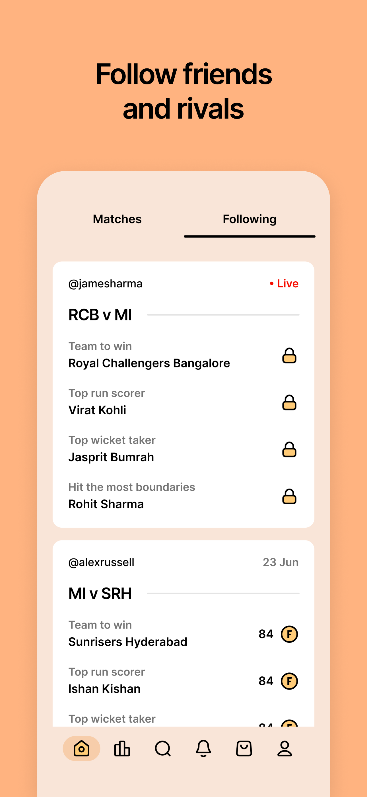 Punt - Cricket Fan Game