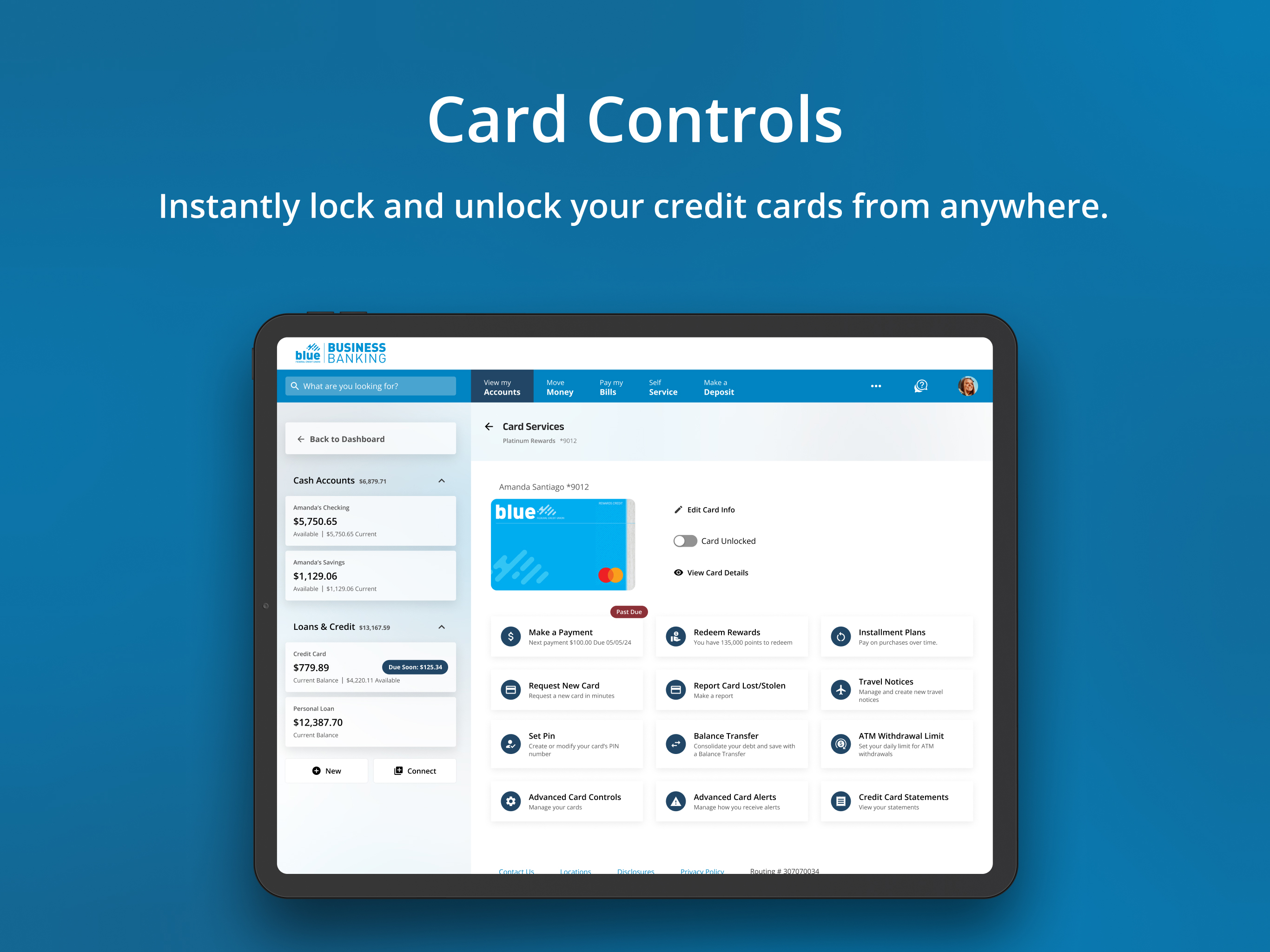 Blue Business Banking screenshot 11