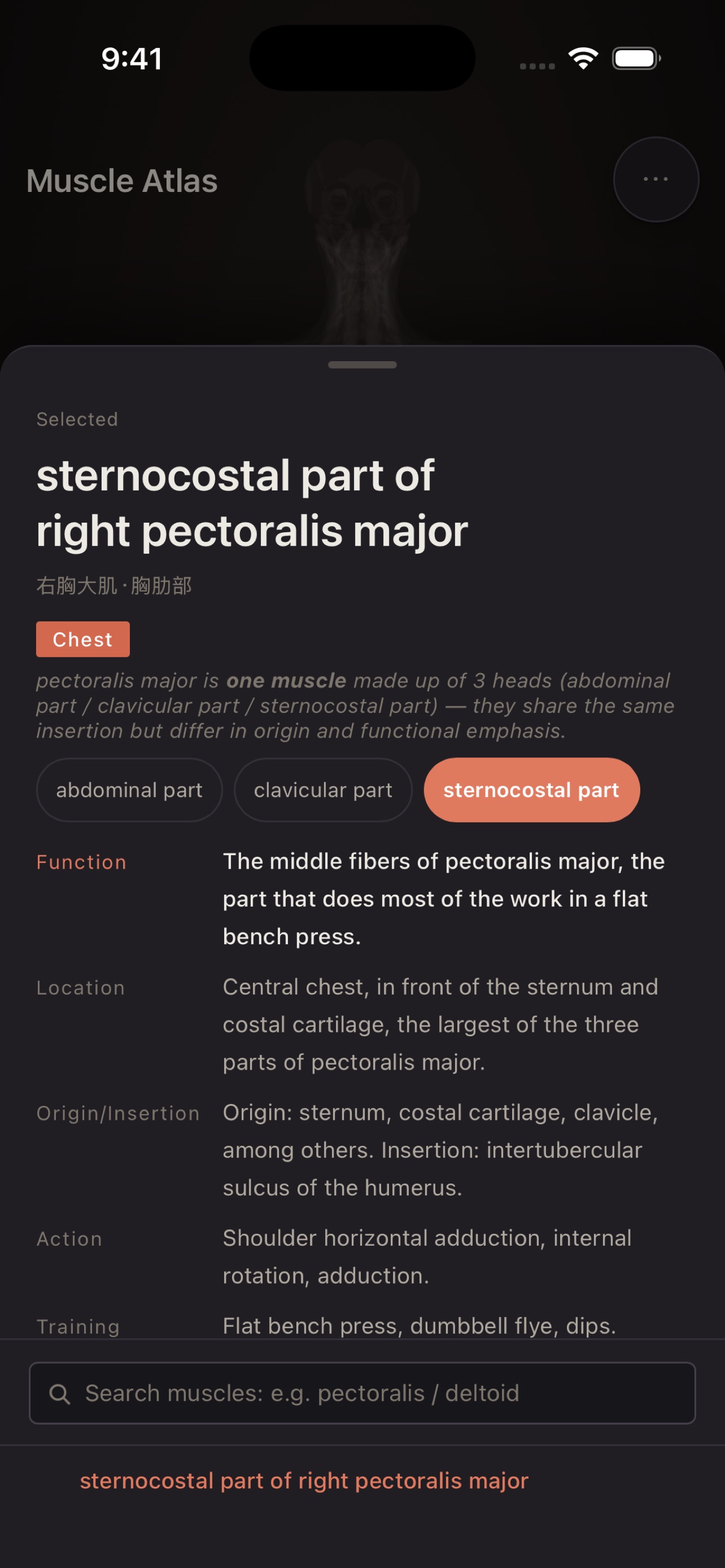 Screenshot 5 of Muscle Atlas 3D
