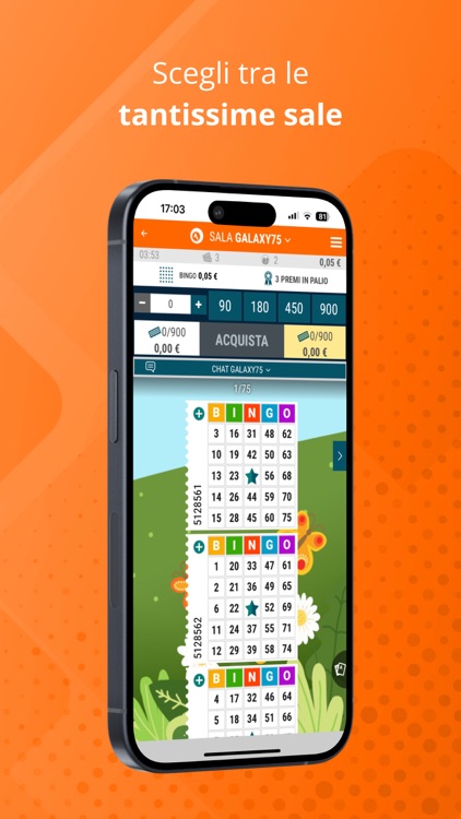 Bingo Gioco Digitale