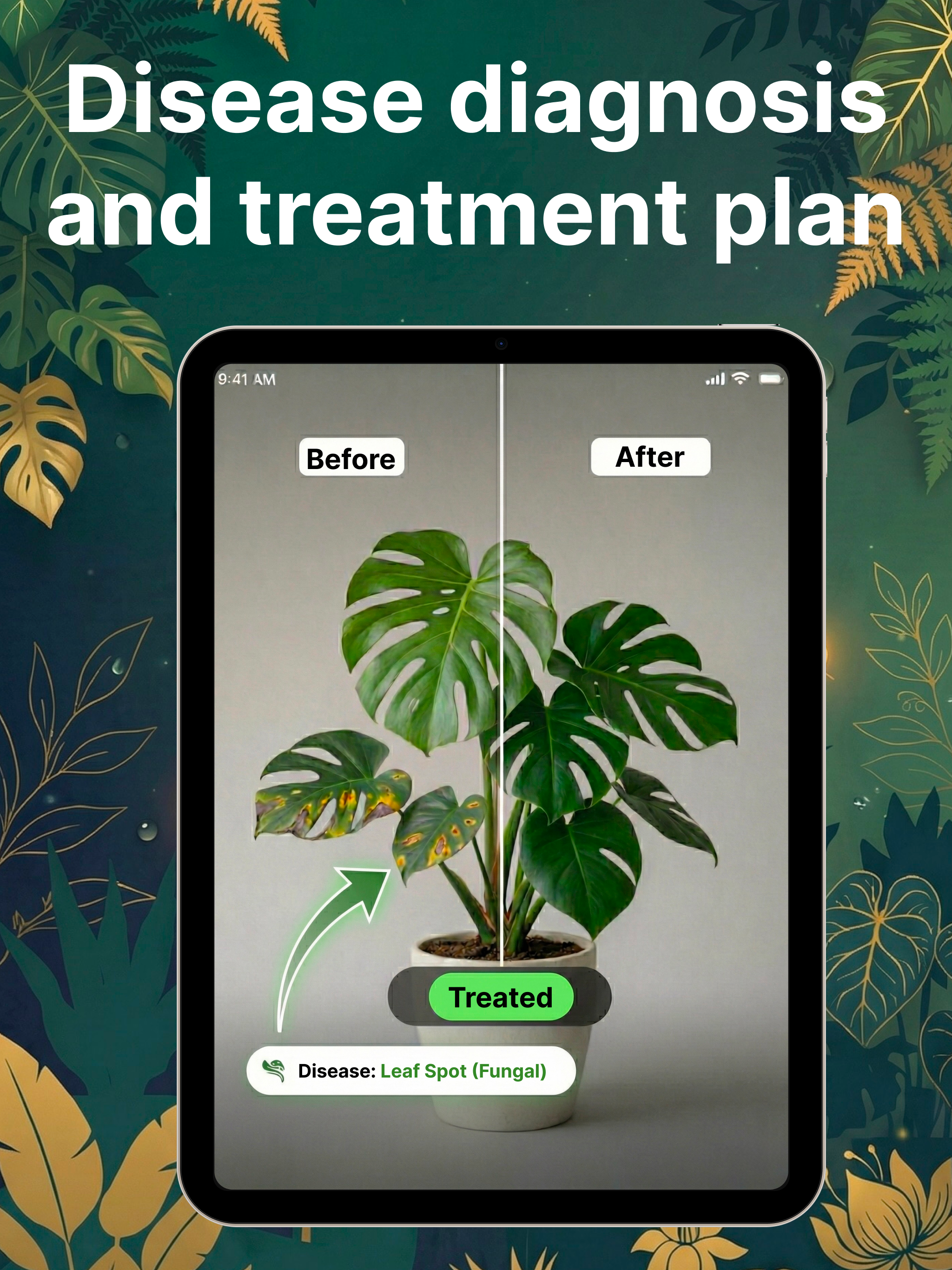 Plant Identifier AI: Fylora