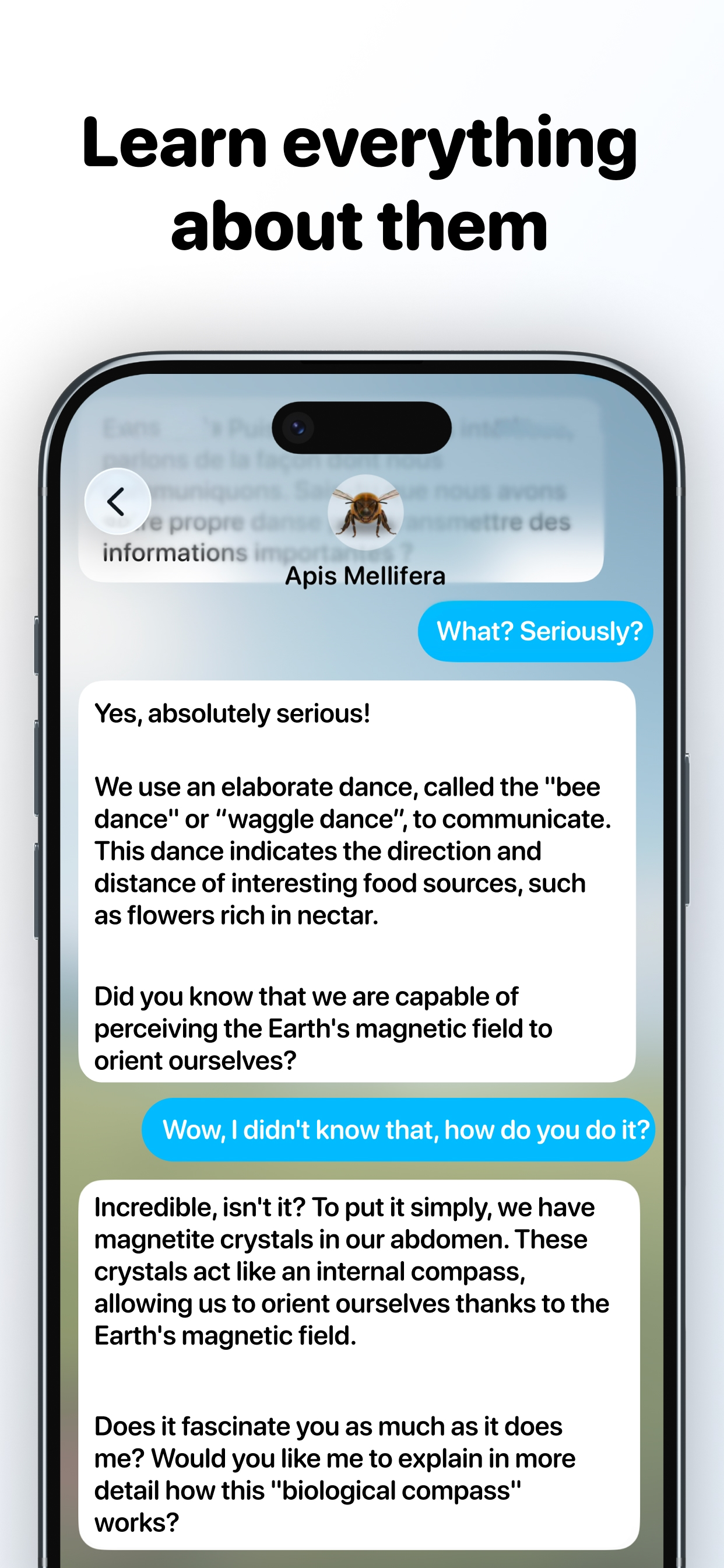 Bugsy – Insect Collection Quiz screenshot 6