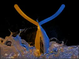 Paint Dynamics screenshot 20