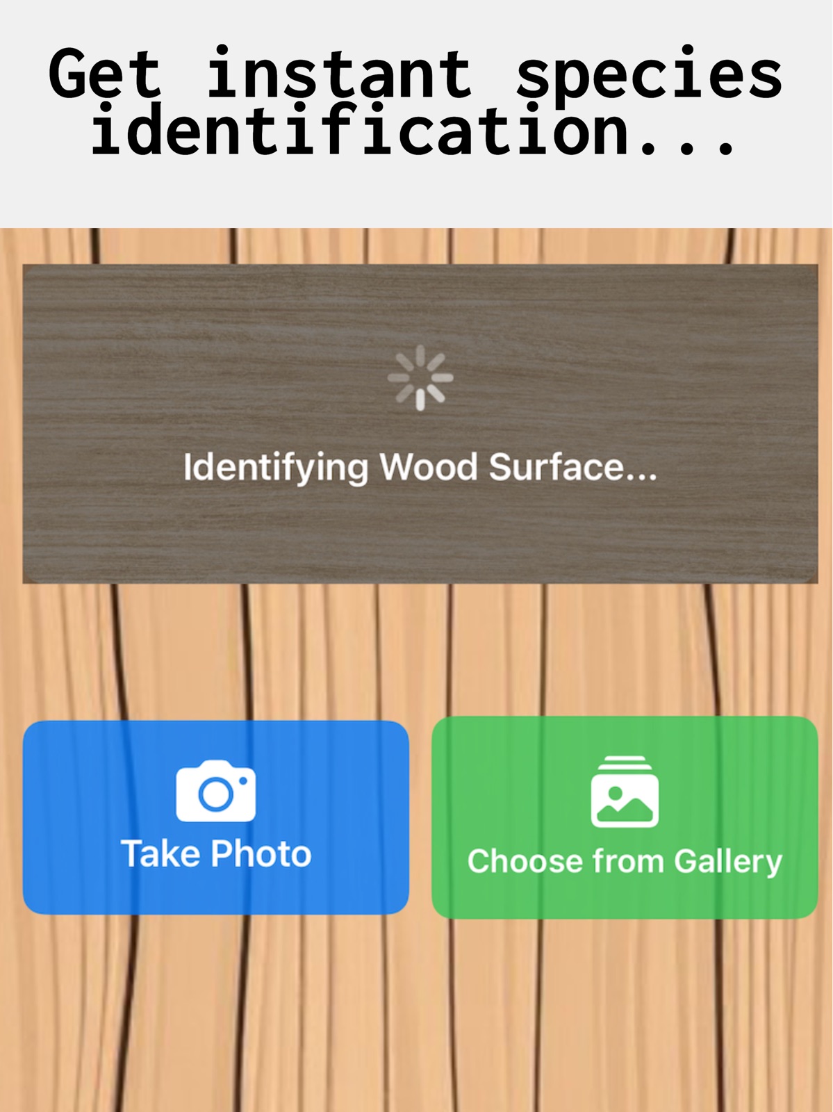 Wood ID : Wood Identifier ipad screenshot 3